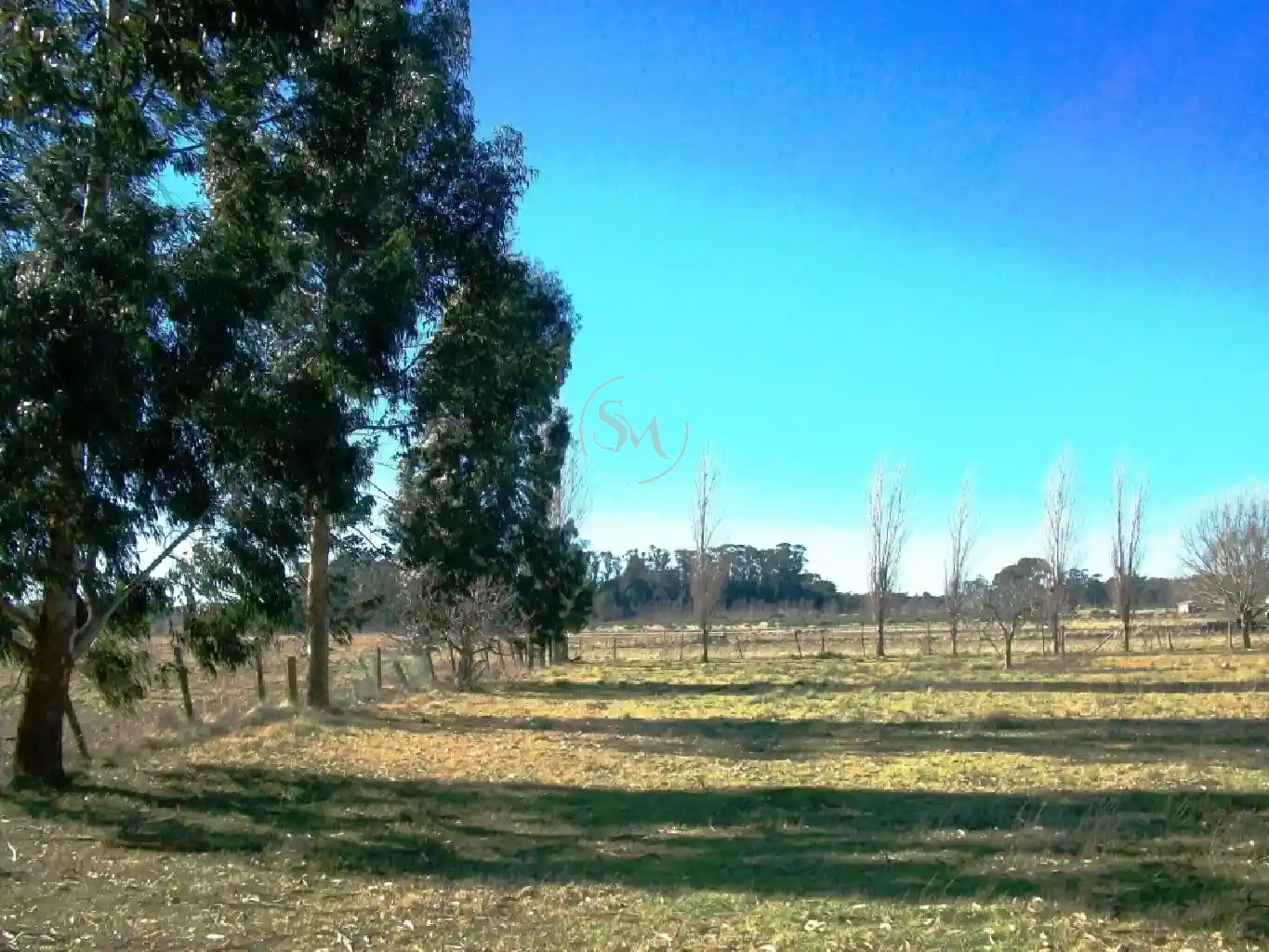 SANCHEZ MARSICO PROPIEDADES - LOTE- FRACCIóN